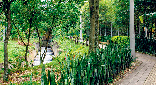 Parque La Presidenta