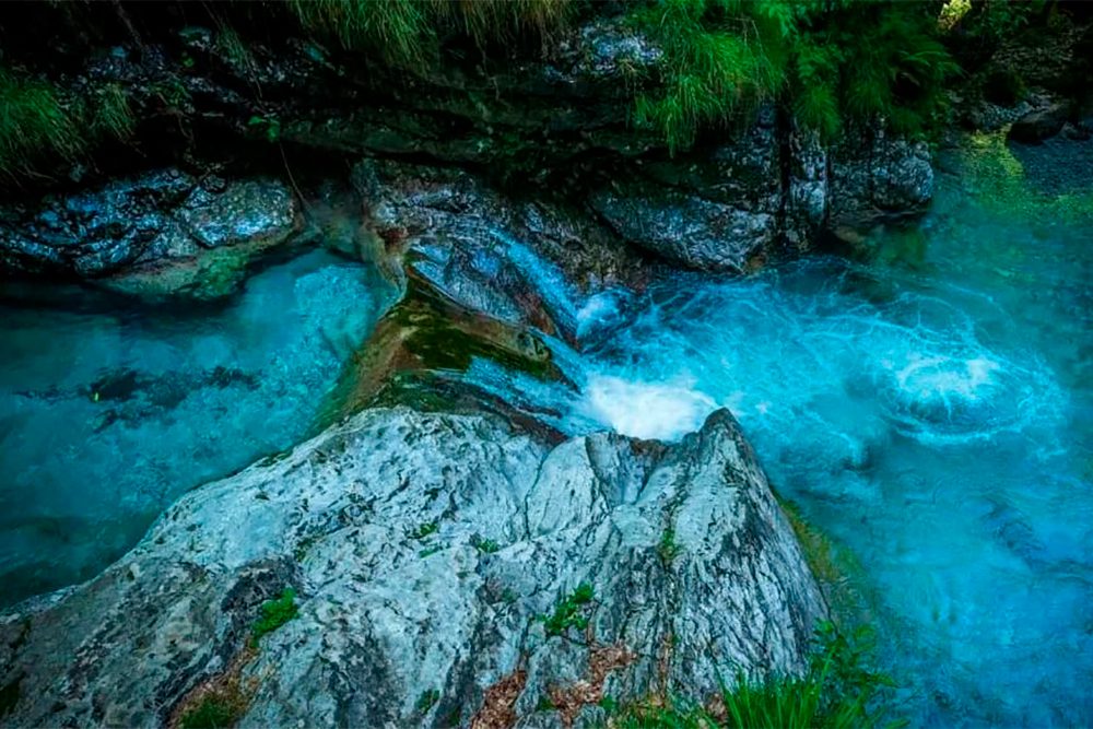 Reserva Natural Río Claro