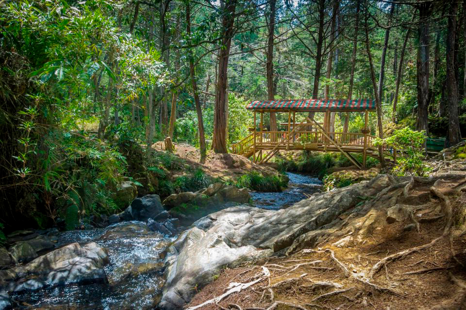 Parque Arví, Medellín